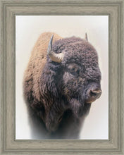 Load image into Gallery viewer, Bison
