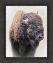 Load image into Gallery viewer, Bison
