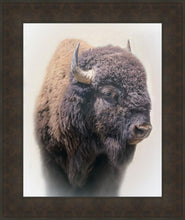 Load image into Gallery viewer, Bison
