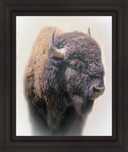 Load image into Gallery viewer, Bison
