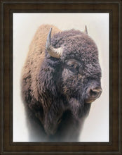 Load image into Gallery viewer, Bison
