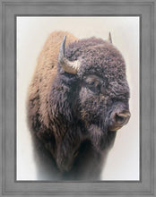 Load image into Gallery viewer, Bison
