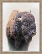 Load image into Gallery viewer, Bison Large Wall Art
