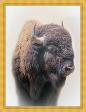 Load image into Gallery viewer, Bison Large Wall Art

