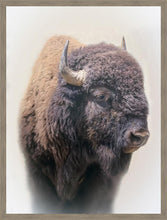 Load image into Gallery viewer, Bison Large Wall Art
