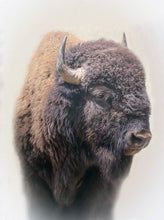 Load image into Gallery viewer, Bison Large Wall Art
