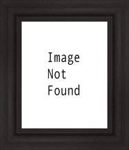 Load image into Gallery viewer, Salt Lake Temple
