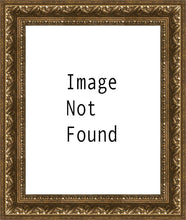 Load image into Gallery viewer, Salt Lake Temple
