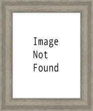 Load image into Gallery viewer, Salt Lake Temple
