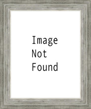 Load image into Gallery viewer, Salt Lake Temple
