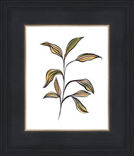 Load image into Gallery viewer, Seedling
