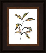 Load image into Gallery viewer, Seedling
