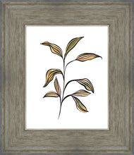 Load image into Gallery viewer, Seedling
