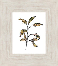 Load image into Gallery viewer, Seedling

