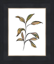Load image into Gallery viewer, Seedling
