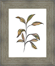 Load image into Gallery viewer, Seedling
