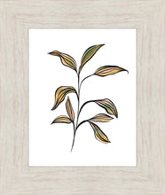 Load image into Gallery viewer, Seedling
