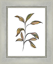 Load image into Gallery viewer, Seedling
