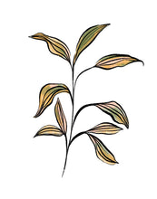 Load image into Gallery viewer, Seedling
