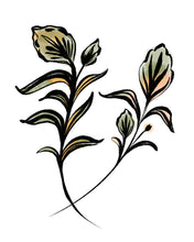 Load image into Gallery viewer, Flora
