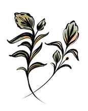 Load image into Gallery viewer, Flora

