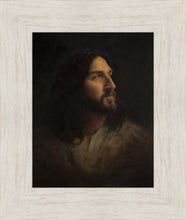Load image into Gallery viewer, Our Advocate
