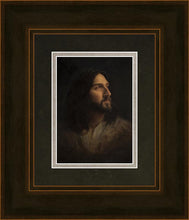 Load image into Gallery viewer, Our Advocate
