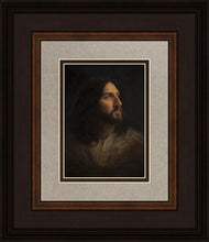 Load image into Gallery viewer, Our Advocate
