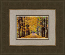 Load image into Gallery viewer, Plate 1 - Dairy Hill Horizontal
