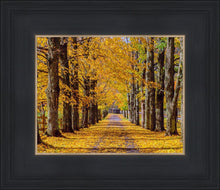 Load image into Gallery viewer, Plate 1 - Dairy Hill Horizontal
