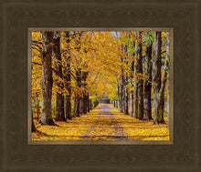 Load image into Gallery viewer, Plate 1 - Dairy Hill Horizontal
