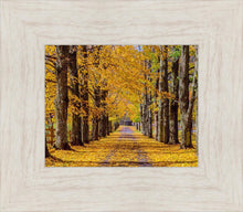 Load image into Gallery viewer, Plate 1 - Dairy Hill Horizontal
