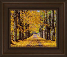 Load image into Gallery viewer, Plate 1 - Dairy Hill Horizontal
