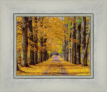 Load image into Gallery viewer, Plate 1 - Dairy Hill Horizontal
