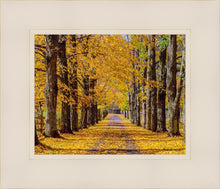 Load image into Gallery viewer, Plate 1 - Dairy Hill Horizontal
