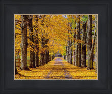 Load image into Gallery viewer, Plate 1 - Dairy Hill Horizontal
