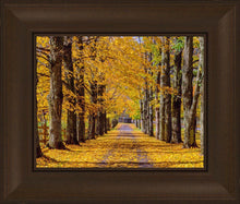 Load image into Gallery viewer, Plate 1 - Dairy Hill Horizontal
