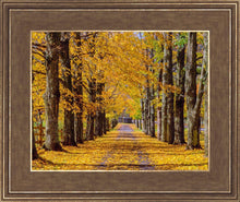 Load image into Gallery viewer, Plate 1 - Dairy Hill Horizontal
