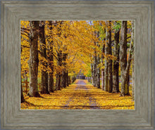 Load image into Gallery viewer, Plate 1 - Dairy Hill Horizontal
