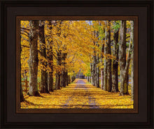 Load image into Gallery viewer, Plate 1 - Dairy Hill Horizontal
