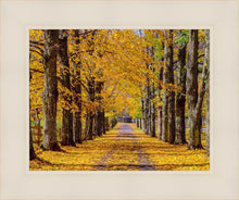 Load image into Gallery viewer, Plate 1 - Dairy Hill Horizontal
