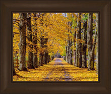 Load image into Gallery viewer, Plate 1 - Dairy Hill Horizontal
