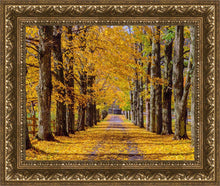 Load image into Gallery viewer, Plate 1 - Dairy Hill Horizontal
