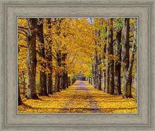Load image into Gallery viewer, Plate 1 - Dairy Hill Horizontal

