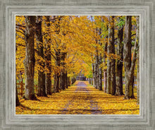Load image into Gallery viewer, Plate 1 - Dairy Hill Horizontal
