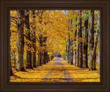 Load image into Gallery viewer, Plate 1 - Dairy Hill Horizontal
