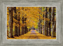 Load image into Gallery viewer, Plate 1 - Dairy Hill Horizontal

