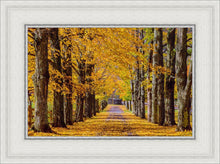 Load image into Gallery viewer, Plate 1 - Dairy Hill Horizontal
