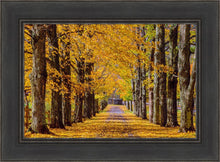Load image into Gallery viewer, Plate 1 - Dairy Hill Horizontal
