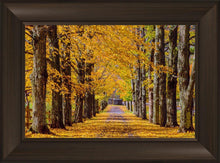 Load image into Gallery viewer, Plate 1 - Dairy Hill Horizontal
